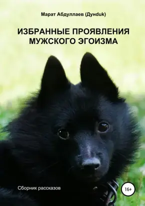 Избранные проявления мужского эгоизма. Сборник рассказов