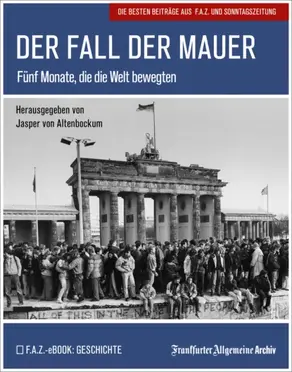 Der Fall der Mauer