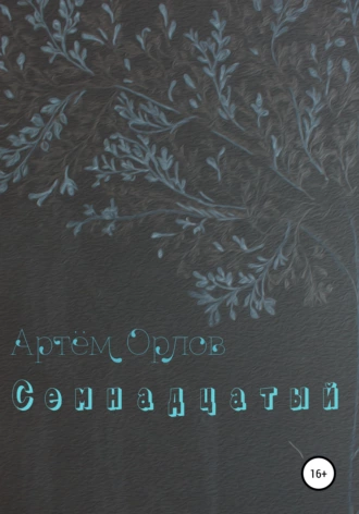 Семнадцатый