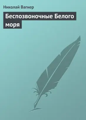 Беспозвоночные Белого моря