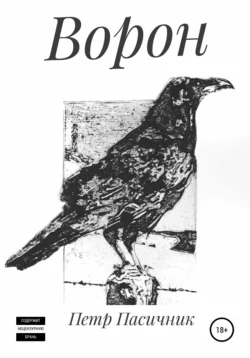 Ворон хранитель душ I