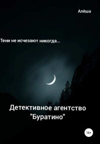 Детективное агентство Буратино