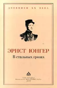 В стальных грозах
