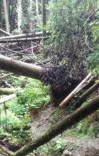 Триста пятидесятый год – перезагрузка [СИ]