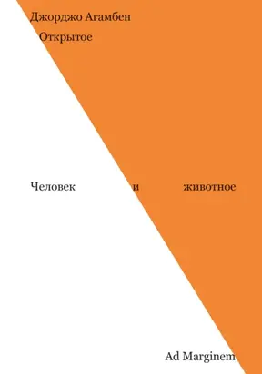 Открытое. Человек и животное