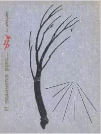 И подымется рука... Повесть о Петре Алексееве