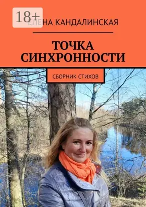 Точка синхронности. Сборник стихов