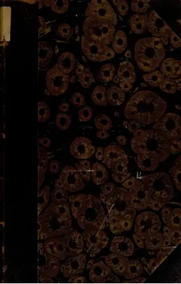 История России с древнейших времен. Книга 6. Том XXVI-XXIX