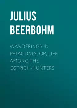 Wanderings in Patagonia; Or, Life Among the Ostrich-Hunters