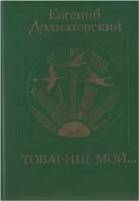 Товарищ мой