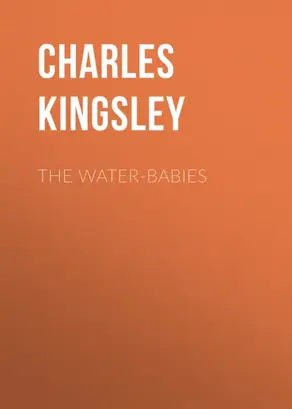 The Water-Babies