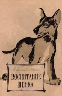 Воспитание щенка (Советы начинающему собаководу)