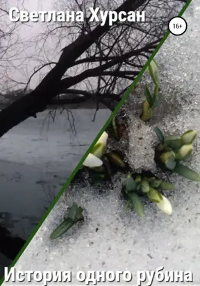 История одного рубина