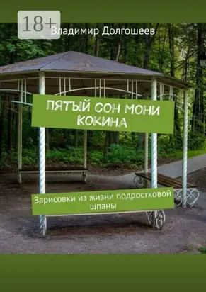 Пятый сон Мони Кокина. Зарисовки из жизни подростковой шпаны