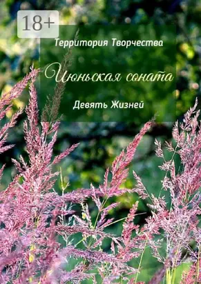 Июньская соната. Девять Жизней
