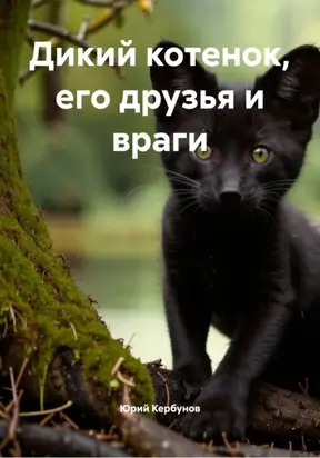 Дикий котенок, его друзья и враги