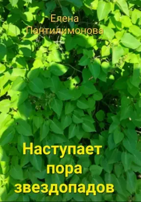 Наступает пора звездопадов