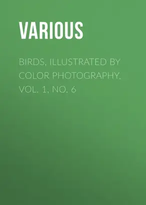 Birds, Illustrated by Color Photography, Vol. 1, No. 6