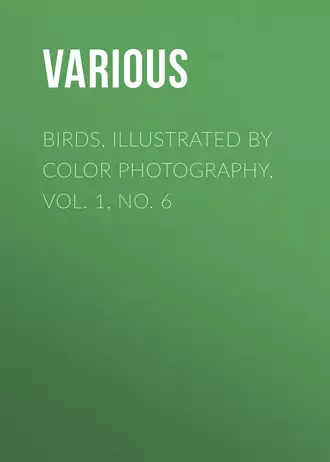 Birds, Illustrated by Color Photography, Vol. 1, No. 6
