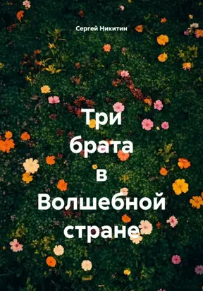 Три брата в Волшебной стране