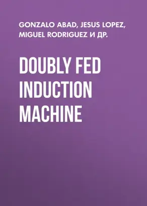 Doubly Fed Induction Machine