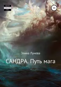 Сандра. Путь мага [СИ litres]