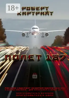 Полёт 187. Из цикла рассказов «Приготовьтесь к безумию. Приготовьтесь к боли»