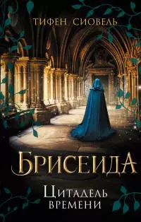 Цитадель времени [litres]