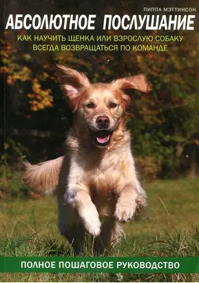 Абсолютное послушание