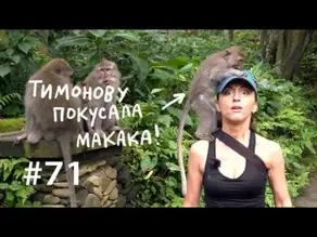 Почему мы любим массаж и сплетни?