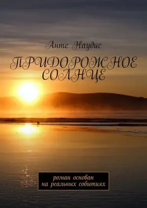 Придорожное солнце. Роман основан на реальных событиях