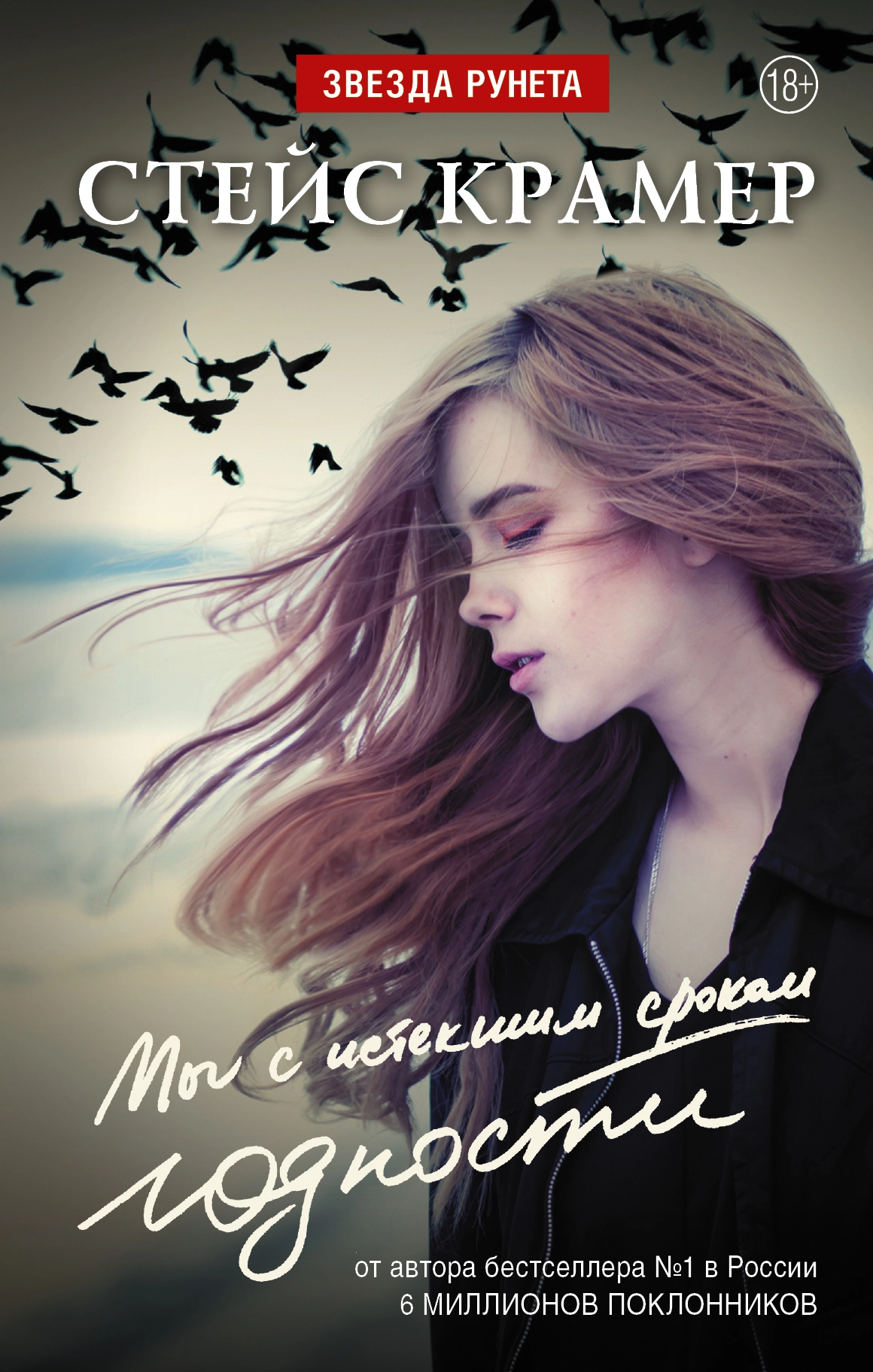 Израильская литература в калейдоскопе (сборник)