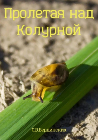 Пролетая над Колурной