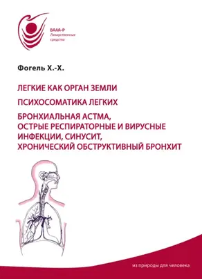 Лёгкие как орган земли. Психосоматика лёгких. Бронхиальная астма, острые респираторные вирусные инфекции, синусит, хронический обструктивный бронхит