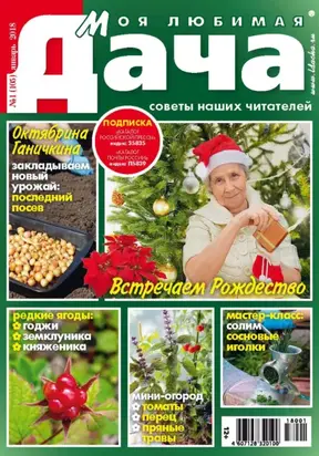 Моя любимая дача №1/2018