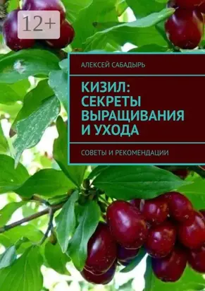 Кизил: секреты выращивания и ухода. Советы и рекомендации