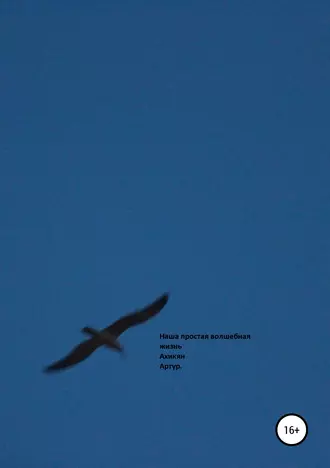 Наша простая волшебная жизнь