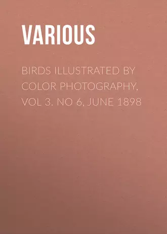 Birds Illustrated by Color Photography, Vol 3. No 6, June 1898