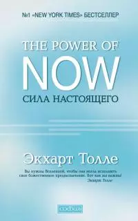 The Power of Now. Сила настоящего