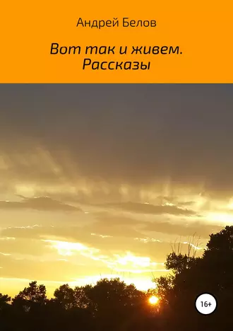 Вот так и живем. Рассказы