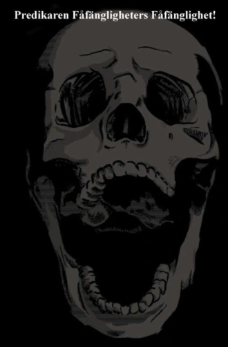 Fåfängligheters Fåfänglighet!