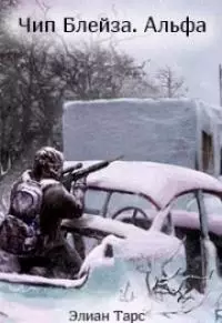 Чип Блейза. Альфа
