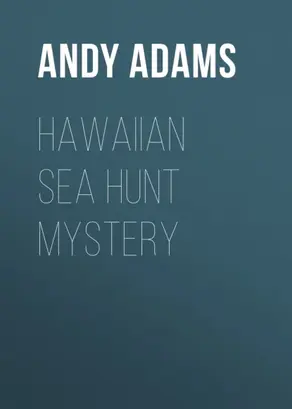 Hawaiian Sea Hunt Mystery