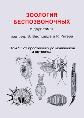 Зоология беспозвоночных. Том 1. От простейших до моллюсков и артропод