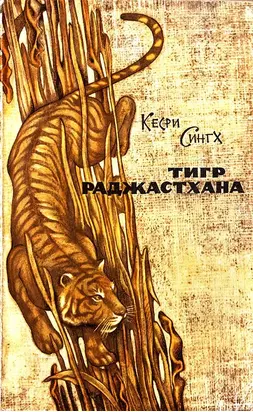 Тигр Раджастхана