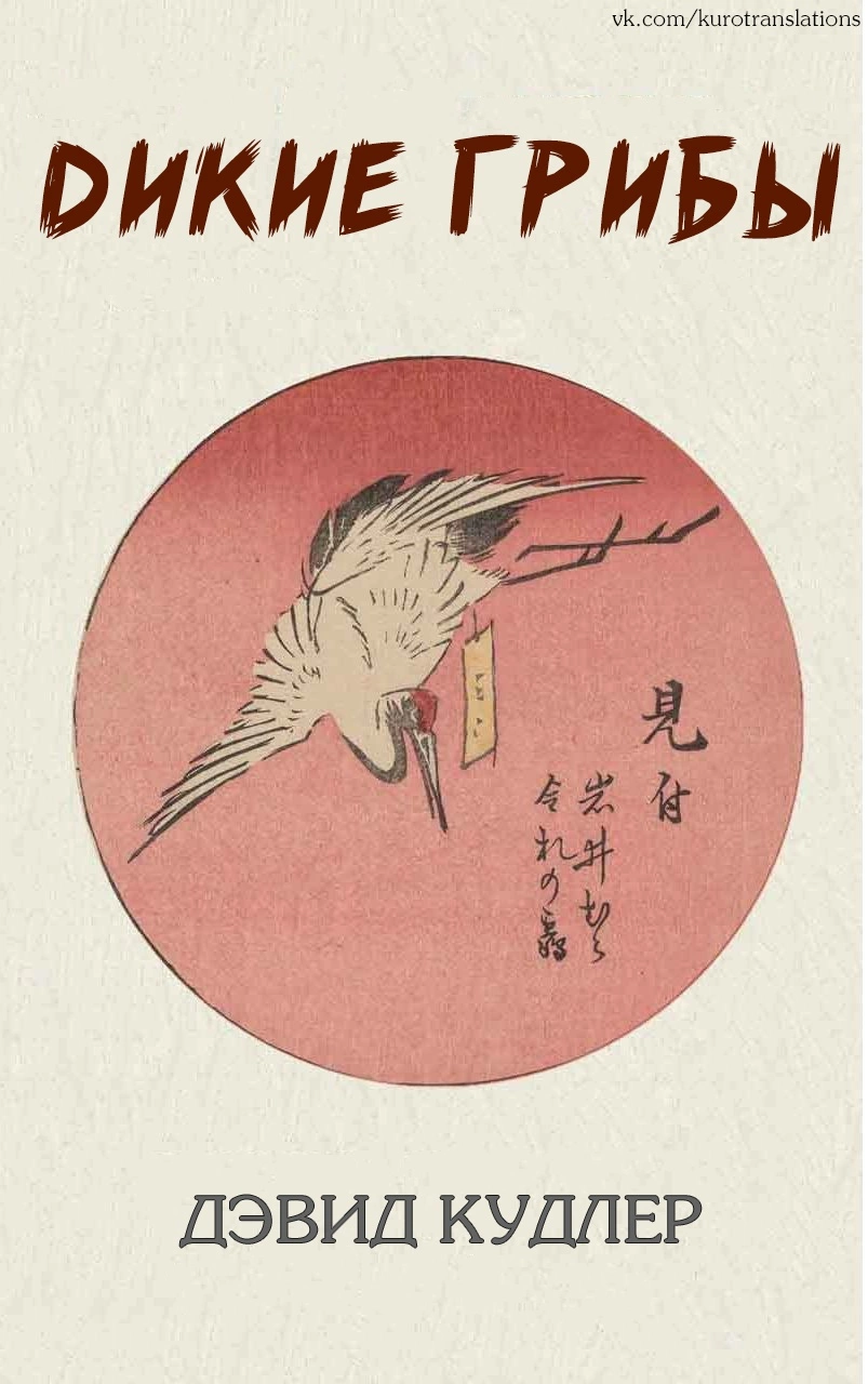 Дикие грибы