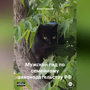 Мужской гид по семейному законодательству