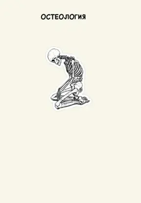 Остеология