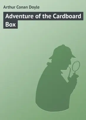 Adventure of the Cardboard Box