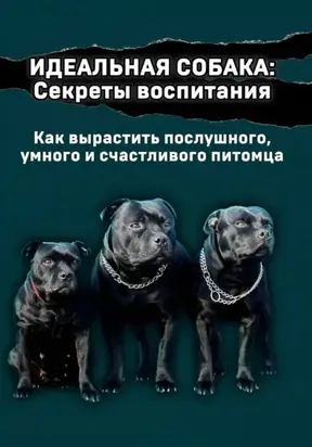 Идеальная собака: секреты воспитания